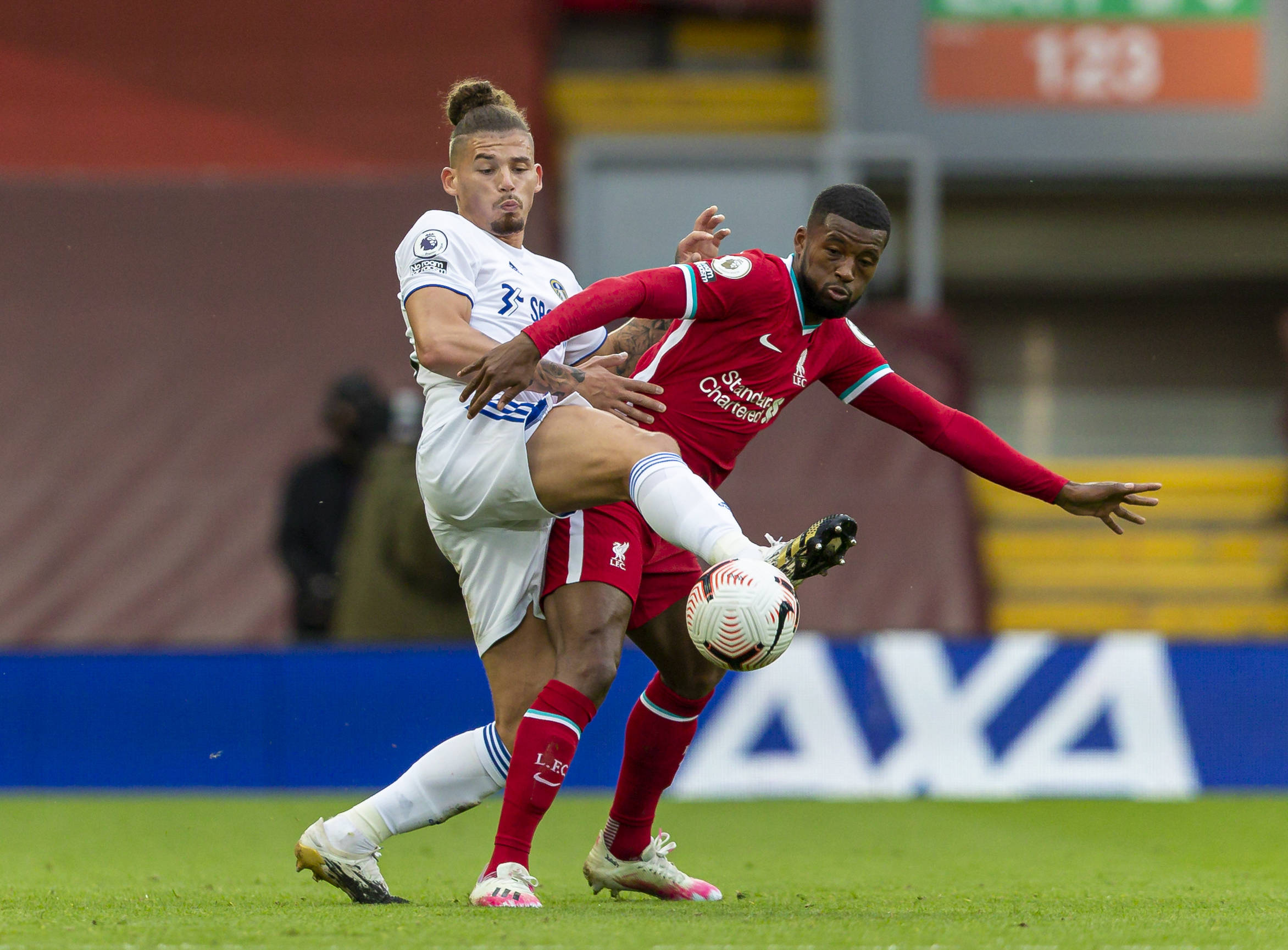 在健康领域 在健康领域